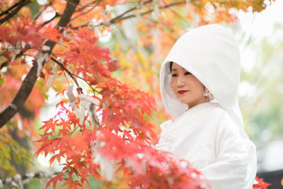 姫路白鷺宮護国神社の結婚式・披露宴