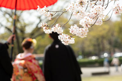 姫路白鷺宮護国神社の結婚式・披露宴