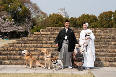 姫路白鷺宮護国神社の結婚式・披露宴