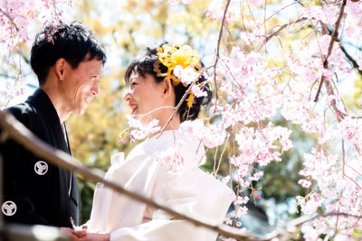 姫路白鷺宮護国神社の結婚式・披露宴