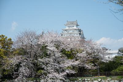 姫路白鷺宮護国神社の結婚式・披露宴